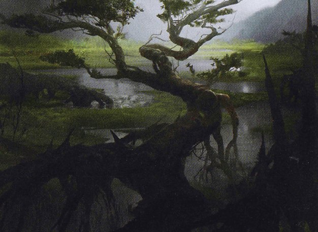 Mortuary Mire