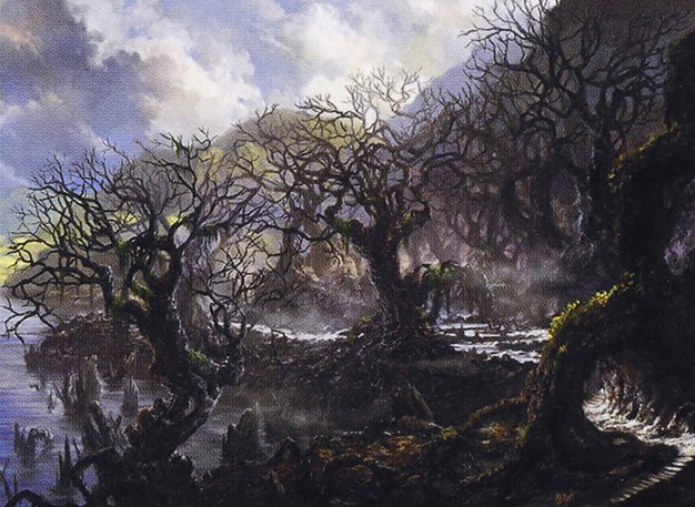 Swamp