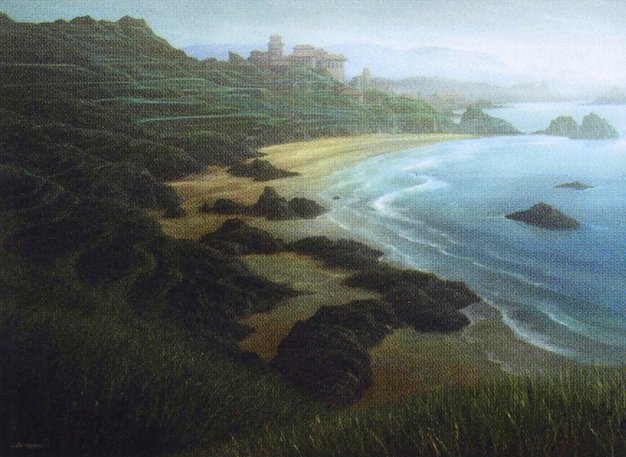 Tranquil Cove