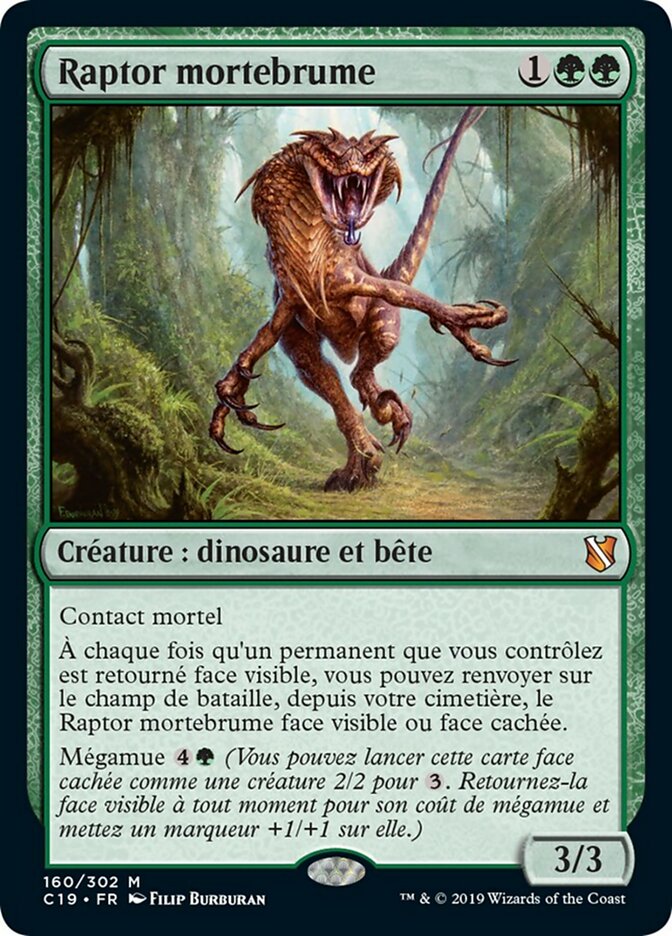image Raptor mortebrume