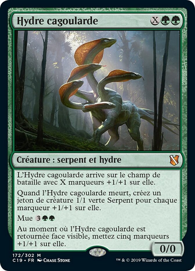 image Hydre cagoularde