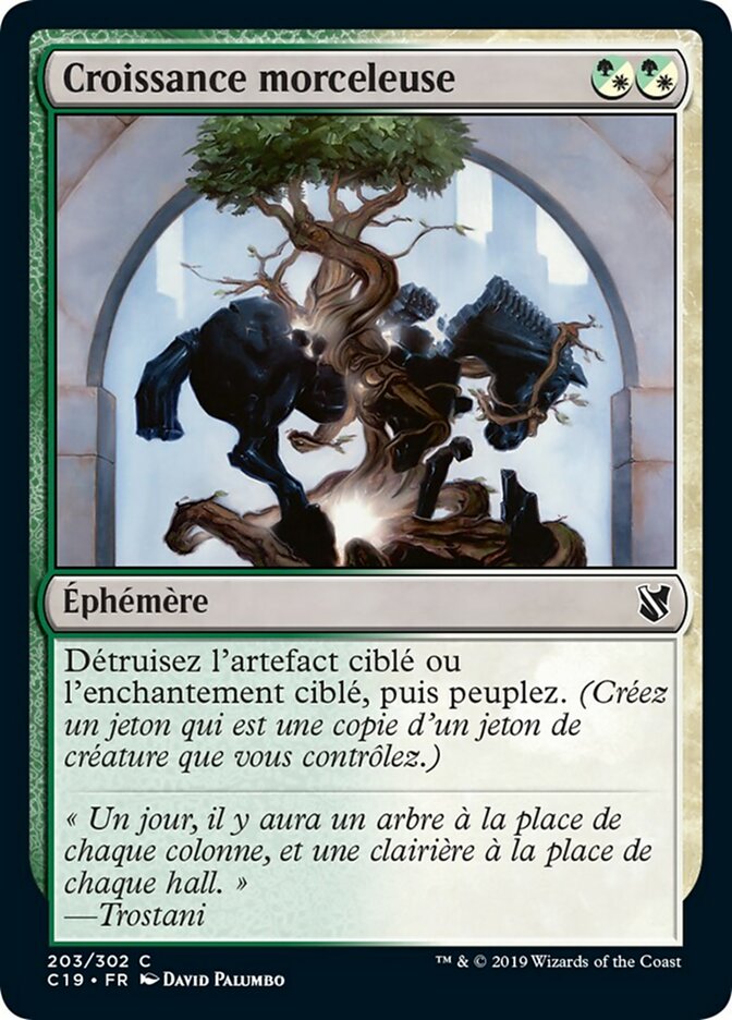 image Croissance morceleuse