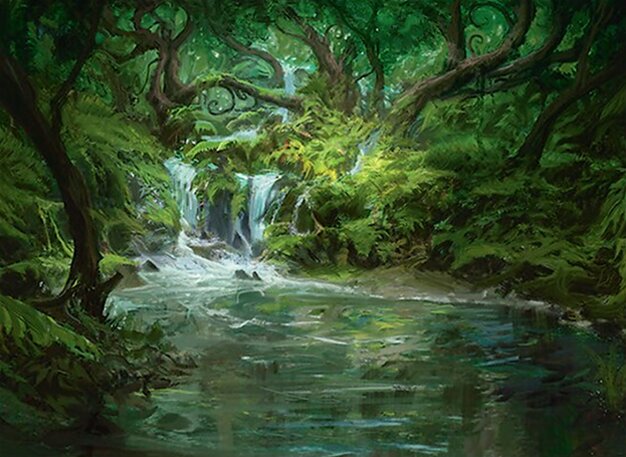 Ruscello nel Bosco