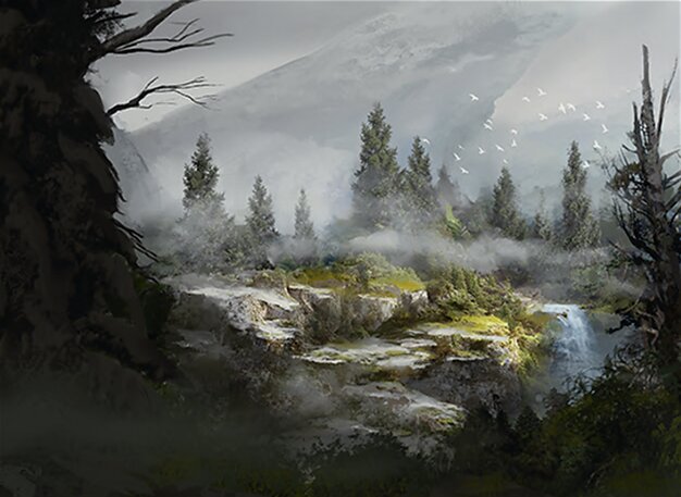 Foresta