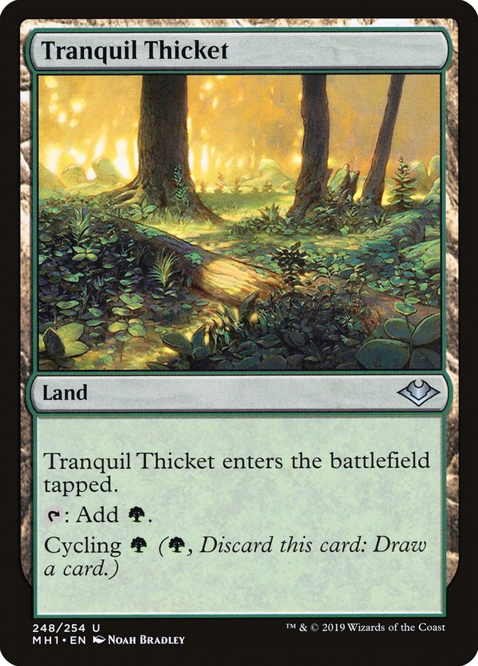 image Tranquil Thicket