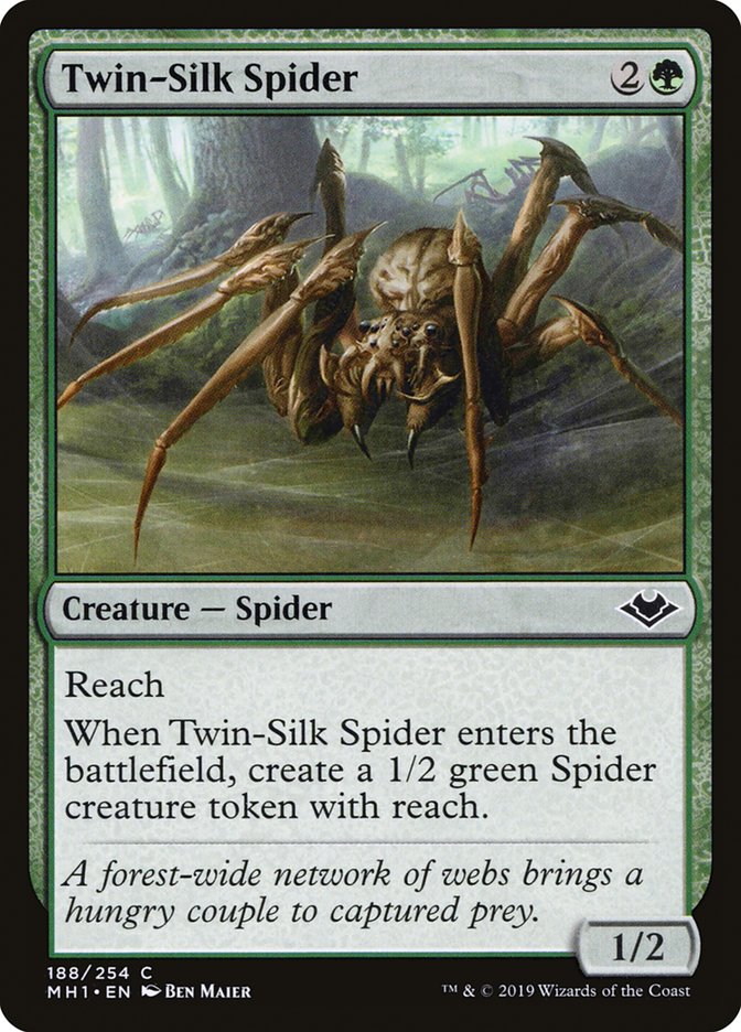 image Twin-Silk Spider