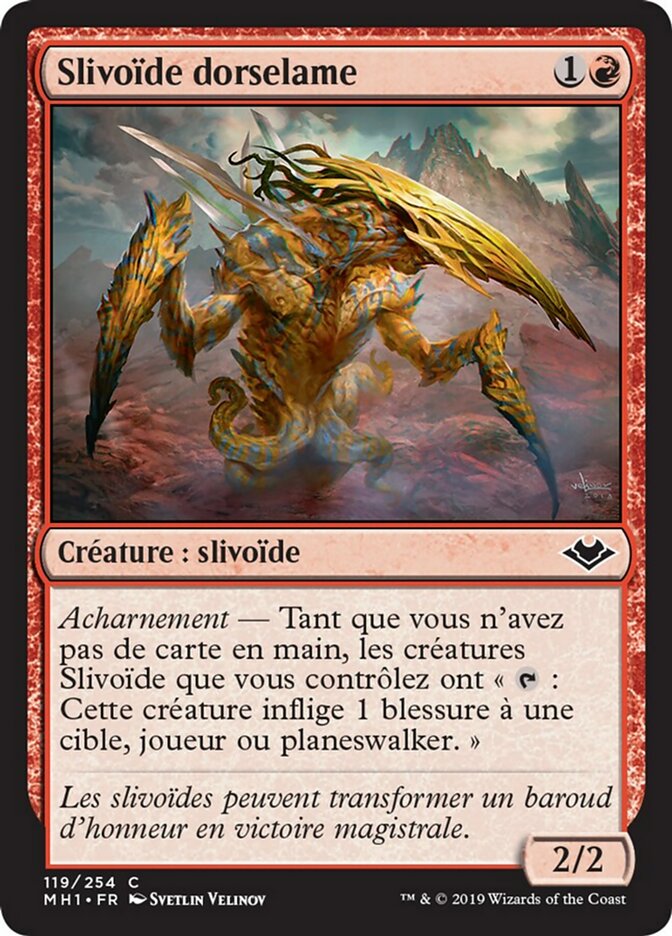 image Slivoïde dorselame