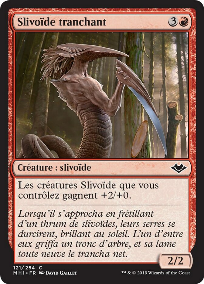 image Slivoïde tranchant