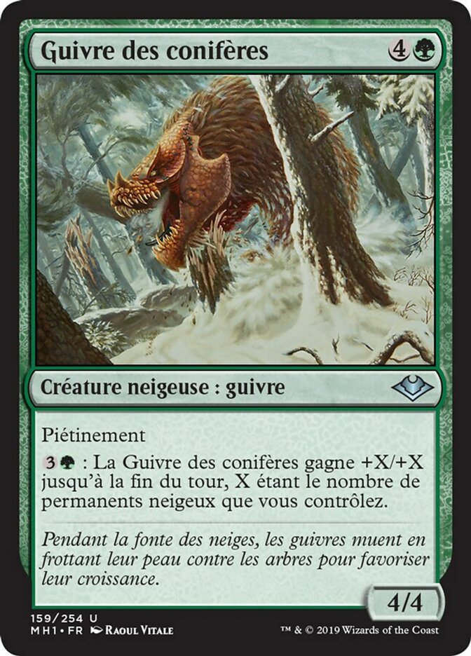 image Guivre des conifères