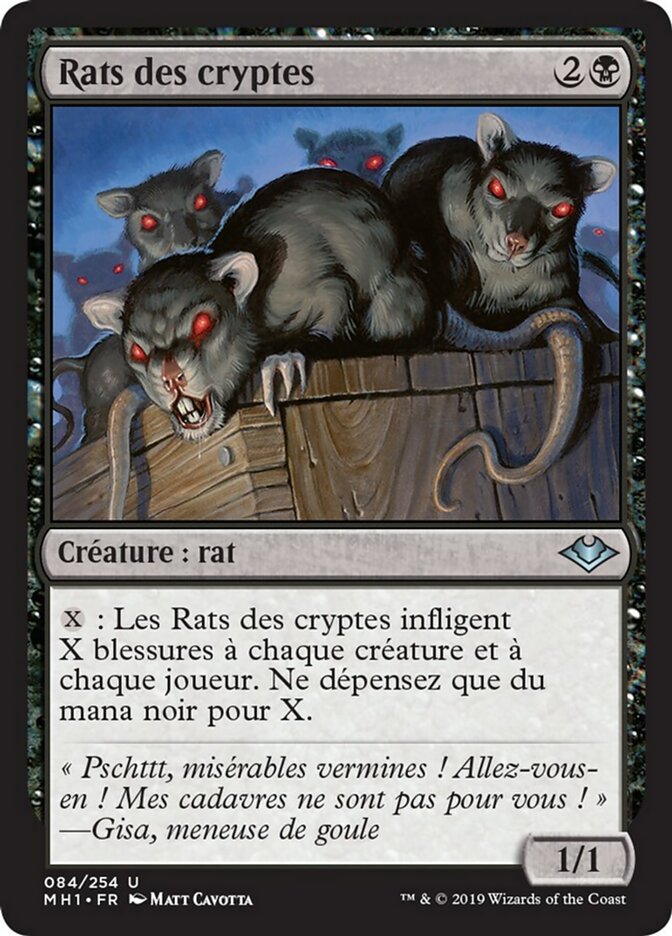 image Rats des cryptes