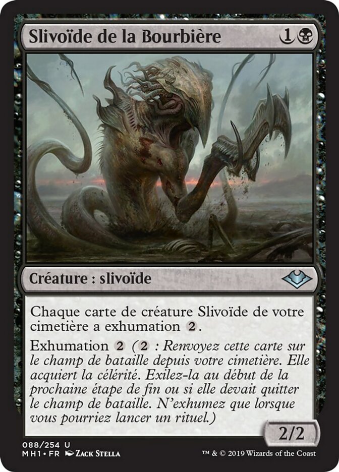 image Slivoïde de la Bourbière