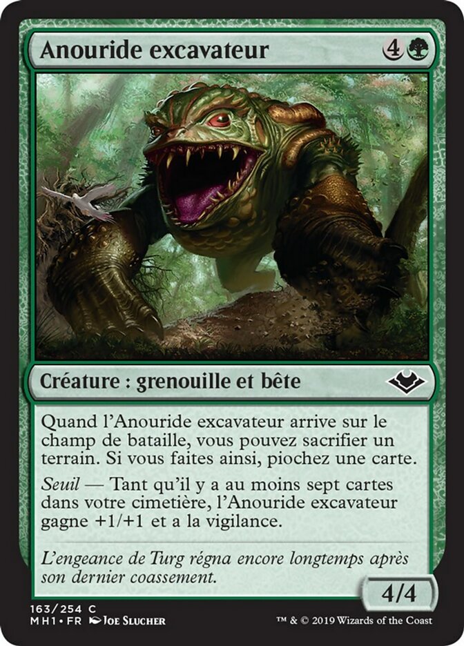 image Anouride excavateur