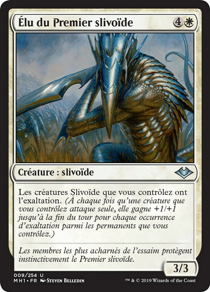 image Élu du Premier slivoïde