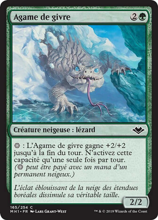 image Agame de givre