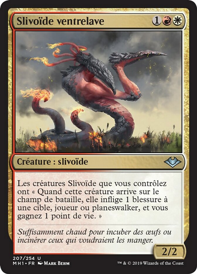 image Slivoïde ventrelave