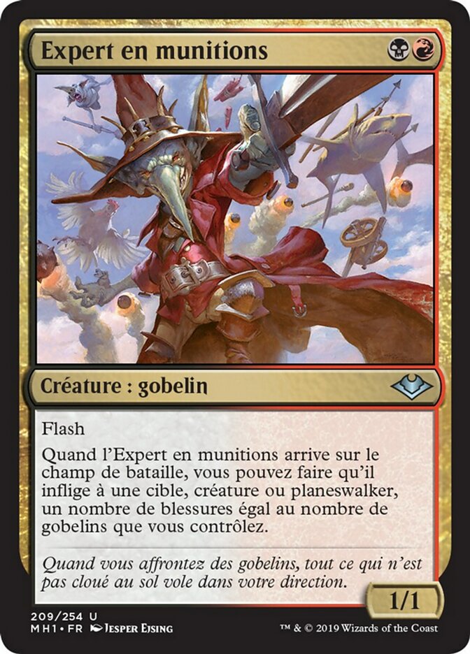 image Expert en munitions