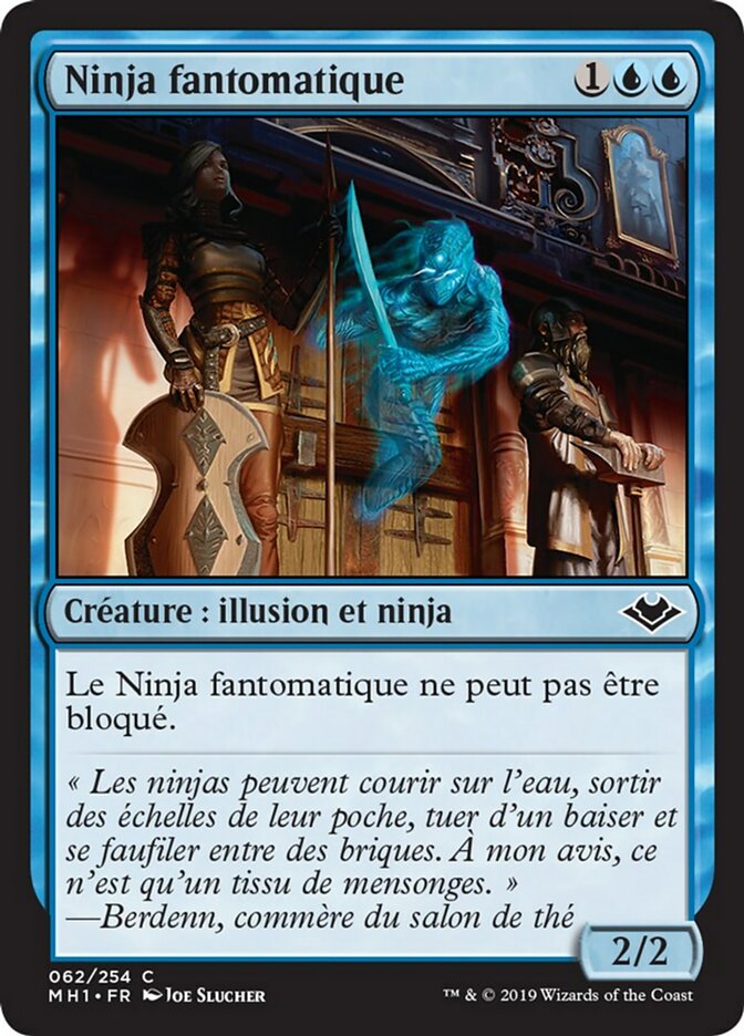 image Ninja fantomatique