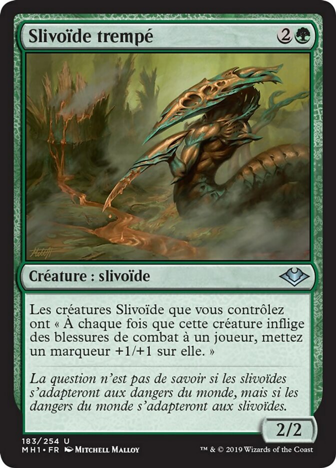 image Slivoïde trempé