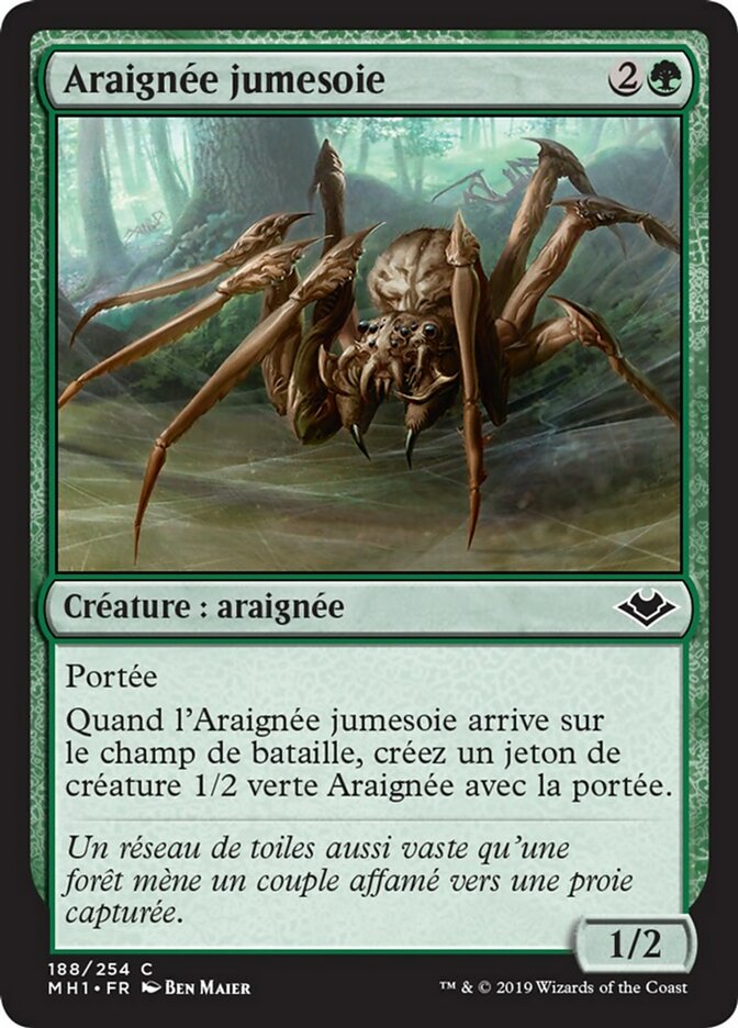 image Araignée jumesoie