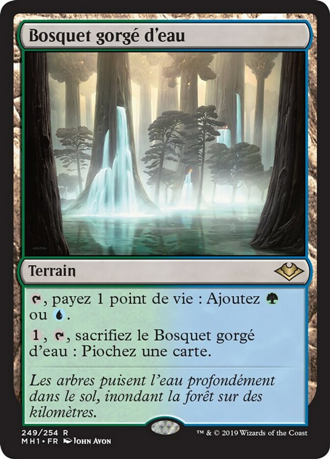 image Bosquet gorgé d'eau