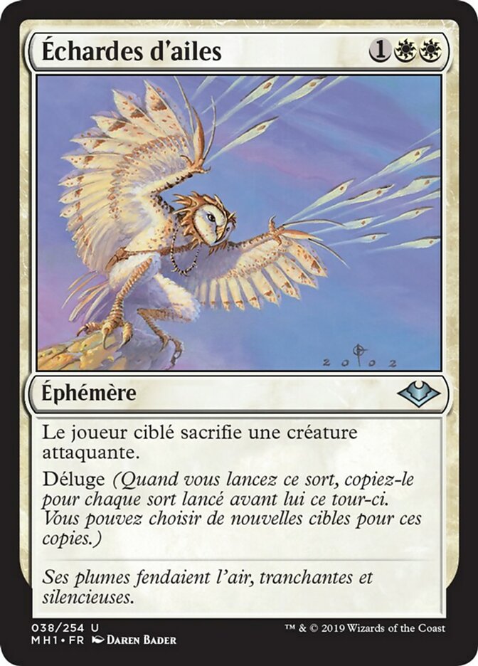 image Échardes d'ailes