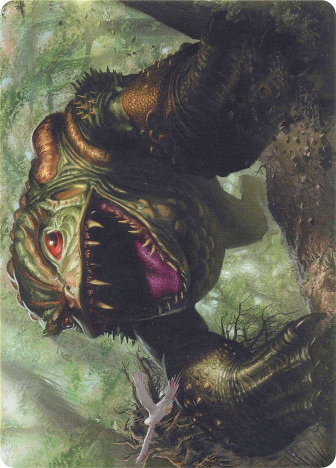 image Excavating Anurid // Excavating Anurid