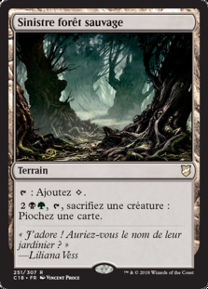 image Sinistre forêt sauvage