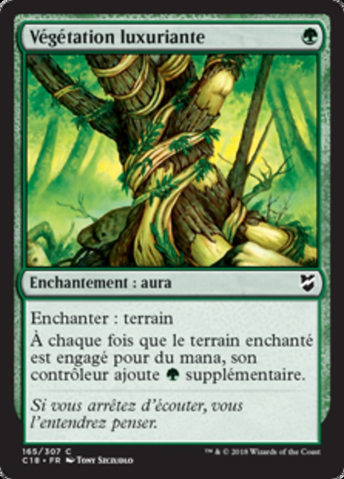 image Végétation luxuriante