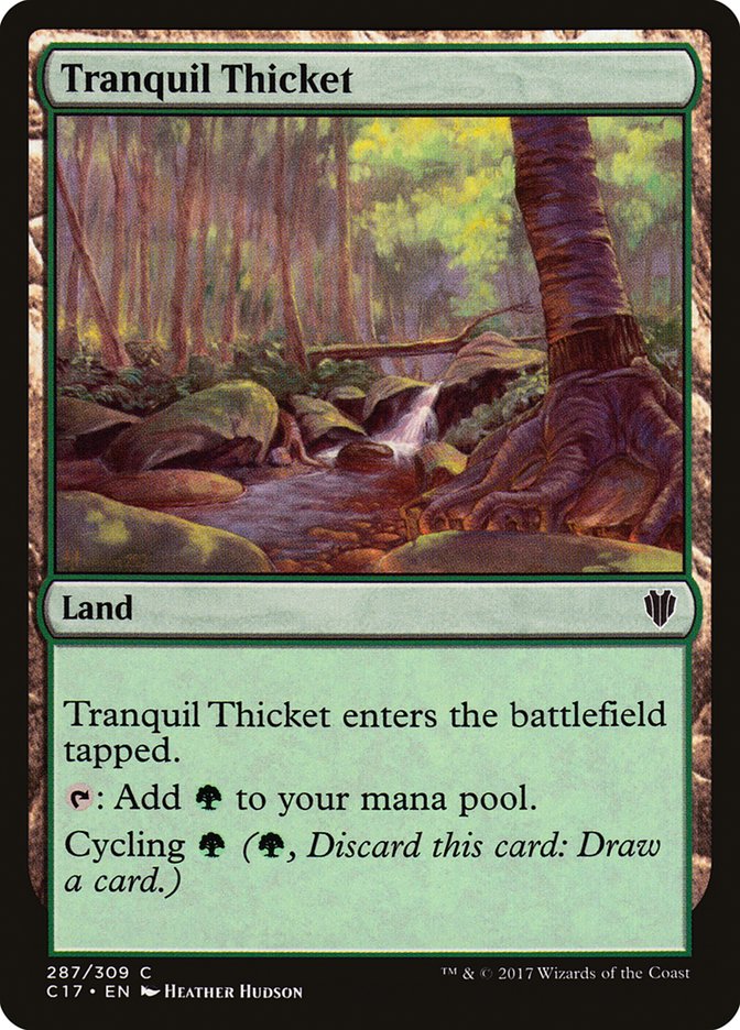 image Tranquil Thicket