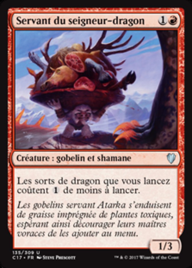 image Servant du seigneur-dragon