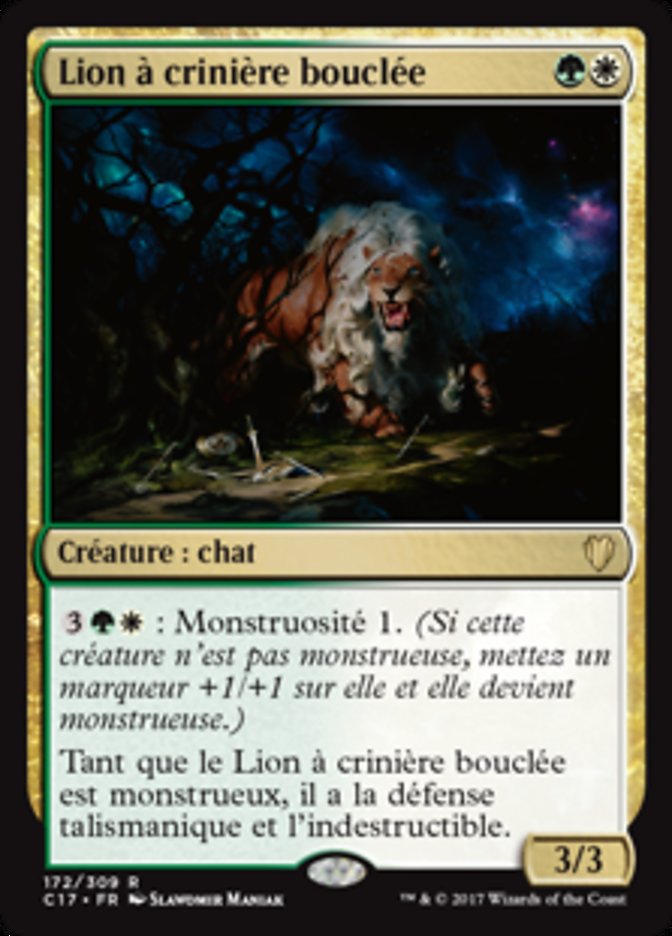 image Lion à crinière bouclée