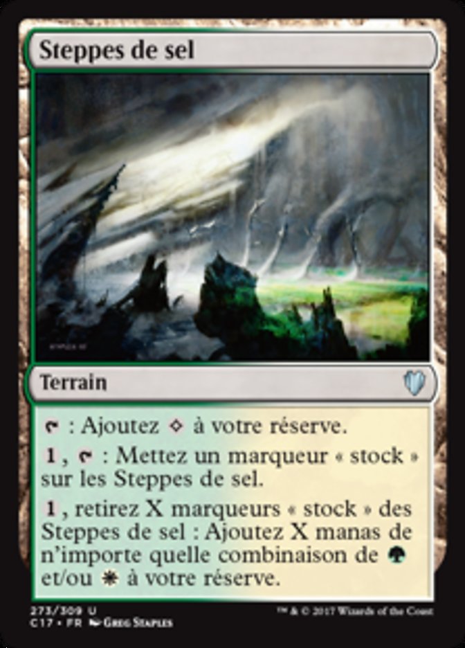 image Steppes de sel