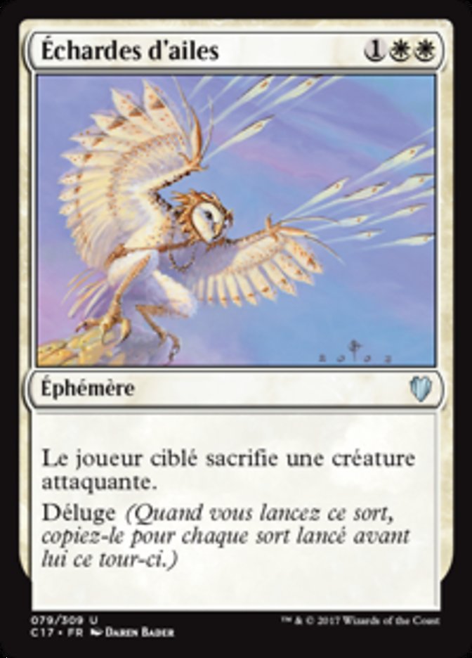 image Échardes d'ailes