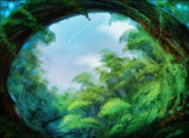 Foresta