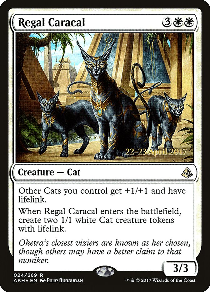 image Regal Caracal