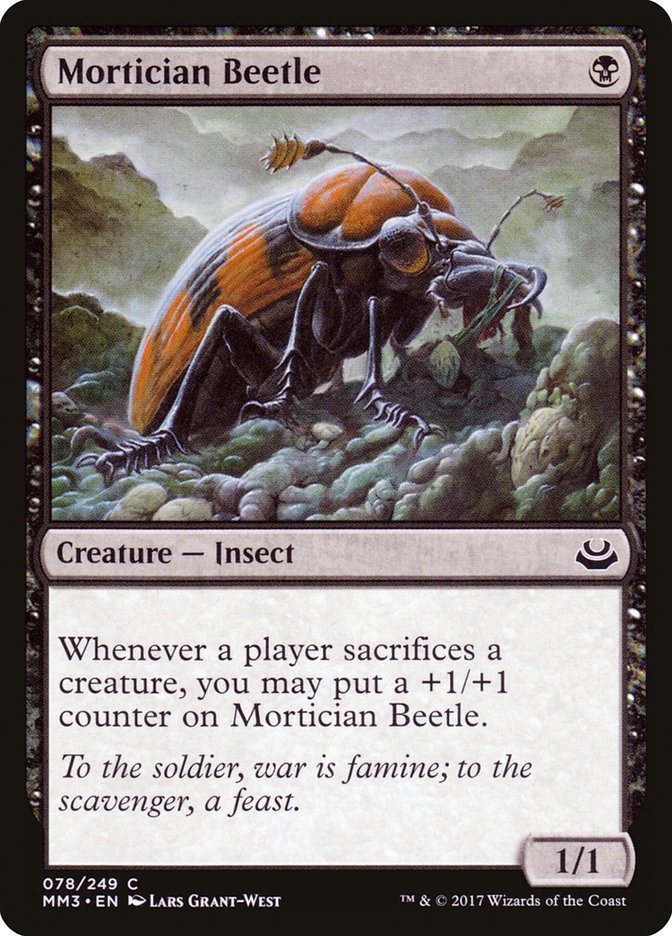 image Mortician Beetle