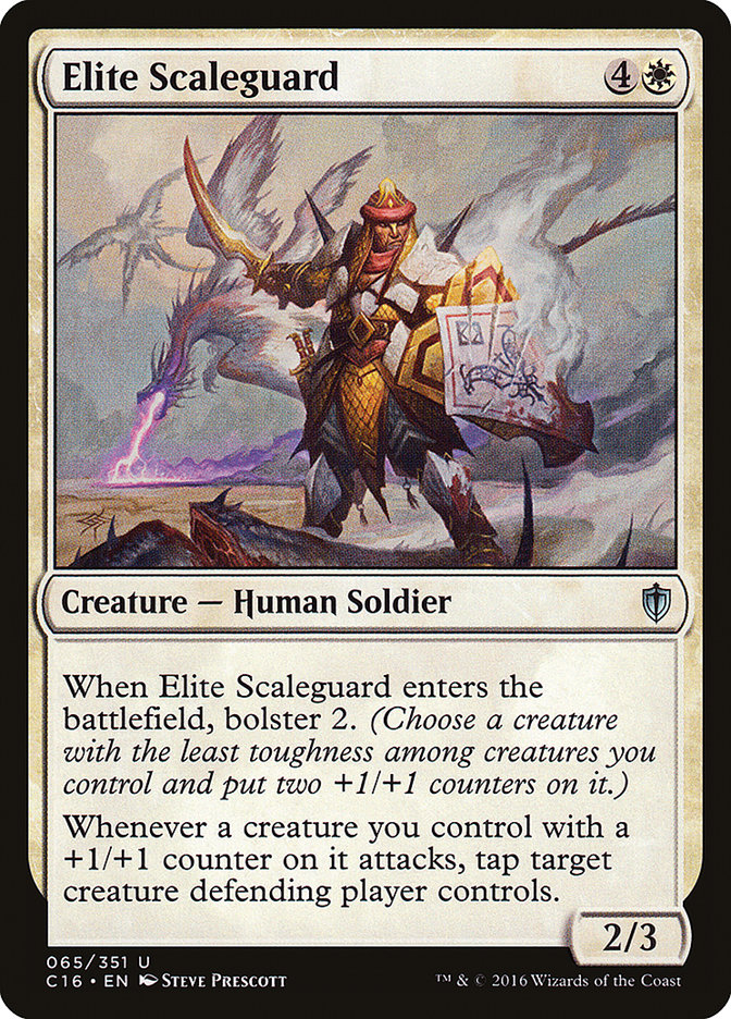 image Elite Scaleguard