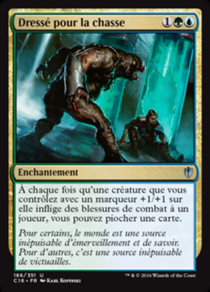 image Dressé pour la chasse