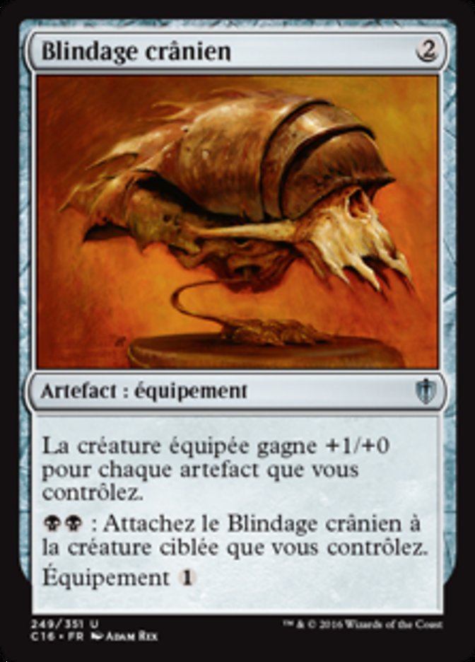 image Blindage crânien