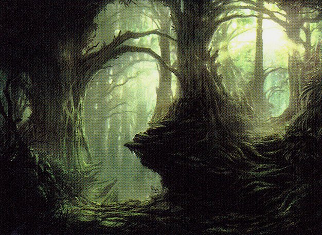 Forest