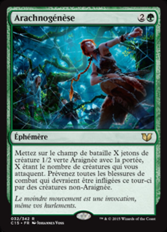 image Arachnogénèse