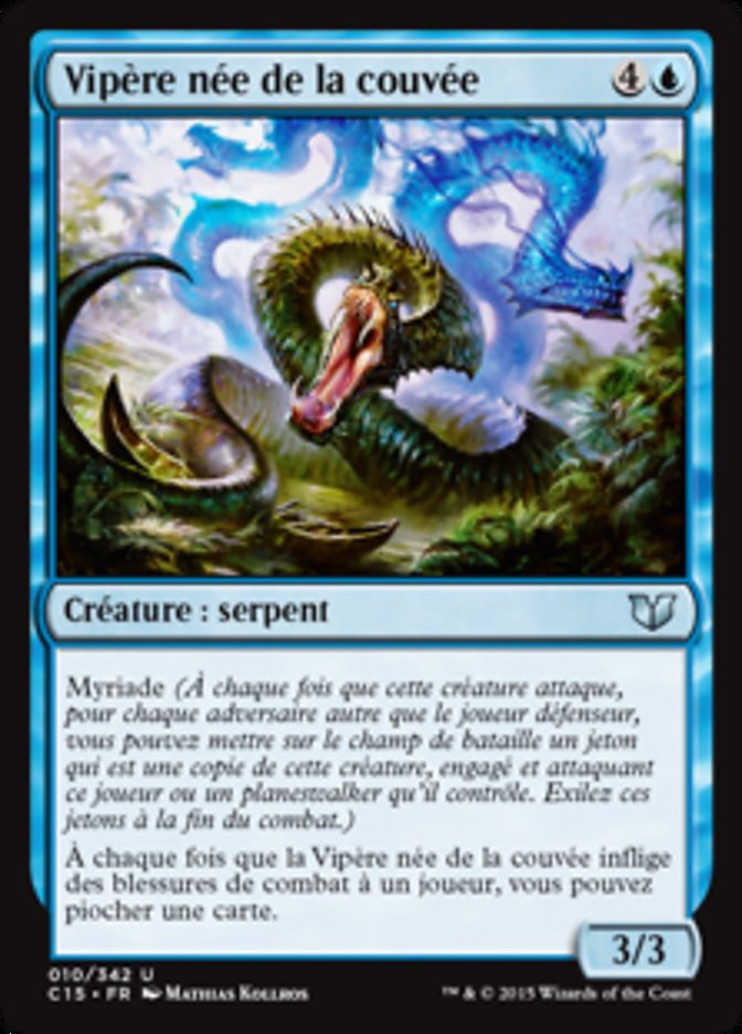 image Vipère née de la couvée