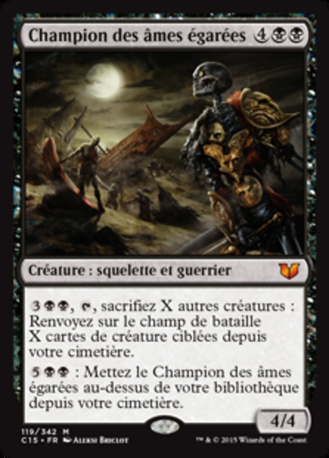 image Champion des âmes égarées