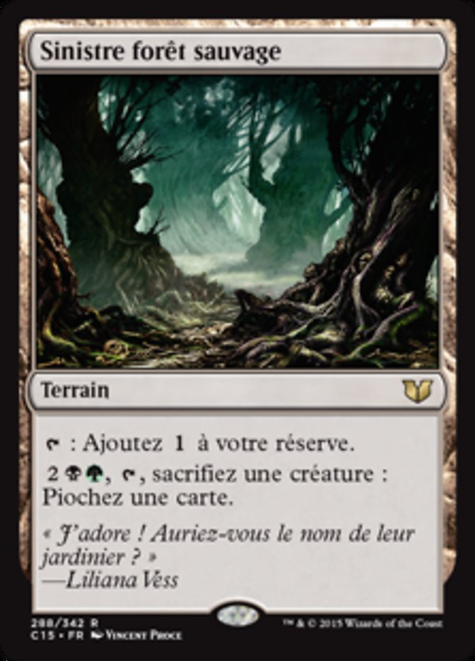 image Sinistre forêt sauvage