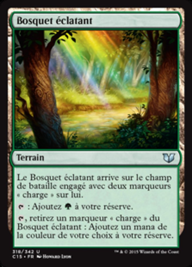 image Bosquet éclatant