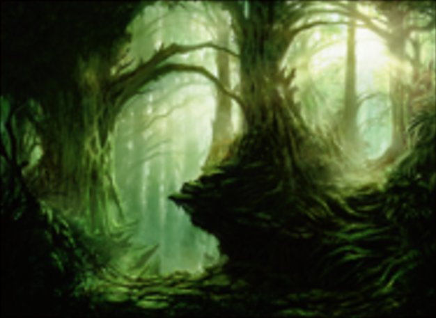 forêt