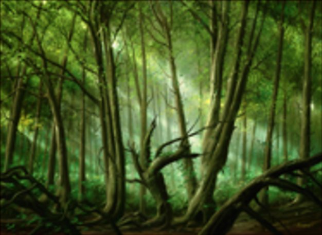 Foresta