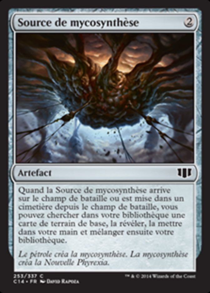image Source de mycosynthèse