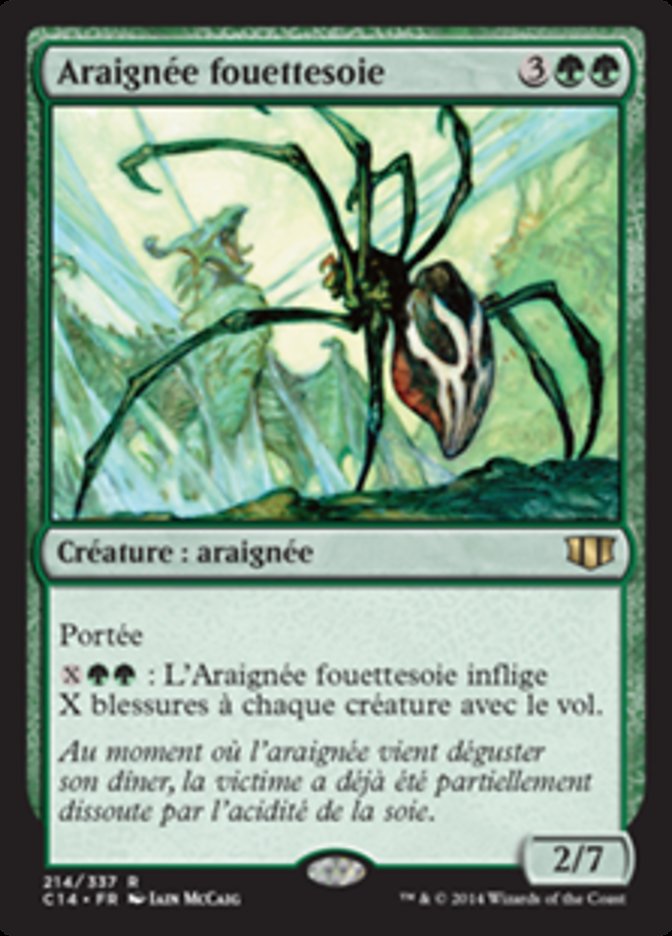 image Araignée fouettesoie