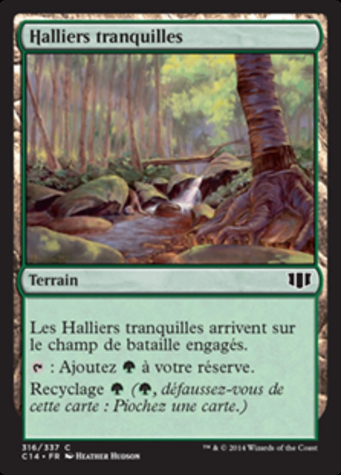 image Halliers tranquilles